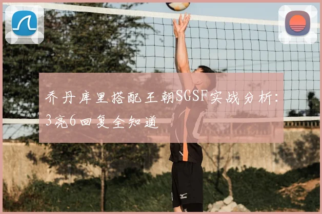乔丹库里搭配王朝SGSF实战分析：3亮6回复全知道