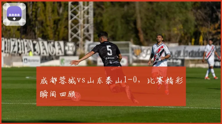成都蓉城vs山东泰山1-0，比赛精彩瞬间回顾